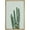 NATURAL, variant on wall26 Framed Canvas Print Wall Art Southwestern Green Desert Cactus Floral Plants Photography Realism Rustic Closeup Colorful Multicolor Ultra for Living Room, Bedroom, Office - 16"x24" Wh