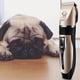 thumbnail image 3 of Peluquería para mascotas Cortador de pelo Cortador de pelo de bajo ruido Perro Gato Conejo Cortador Tomshoo Clíper, 3 of 7