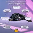 thumbnail image 2 of Suplemento natural para dolor de articulaciones Happy Pal Happy Flex I, 2 of 6