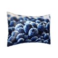 thumbnail image 2 of Easygdp Blueberry Pillowcase 20×30 inches, Throw Pillowcase with Invisible Zipper for Bedroom, Sofa, Office, 2 of 8