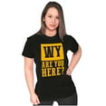 thumbnail image 4 of Wyoming Why are You Here Funny Locals Womens Fitted Plus Size Graphic Tee Brisco Brands 3X, 4 of 5