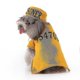 thumbnail image 1 of Ropa para mascotas La ropa divertida y creativa de Navidad y Halloween puede hacer que su mascota destaque en cualquier ocasión XL, 1 of 4