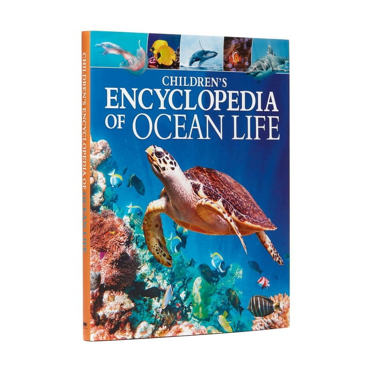 Children's Encyclopedia of Ocean Life: A Deep Dive Into Our World's Oceans, (Hardcover)