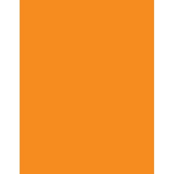 Tangerine 101 - Cornell Notes Notebook: Style A, 101 Pages/50 Sheets, 8.5 x 11, Medium Ruled (Paperback)