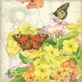 thumbnail image 2 of Paton, Julie 15x15 White Modern Wood Framed Museum Art Print Titled - Primrose and Butterflies, 2 of 4
