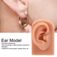 thumbnail image 3 of Soft Silicone Ear Model, Reused Ear Displays Mould Soft Professional Ear Piercing Tool  3D Acupuncture Silicone for Piercing Practice Earring Display, Acupuncture, Display Model, 3 of 7