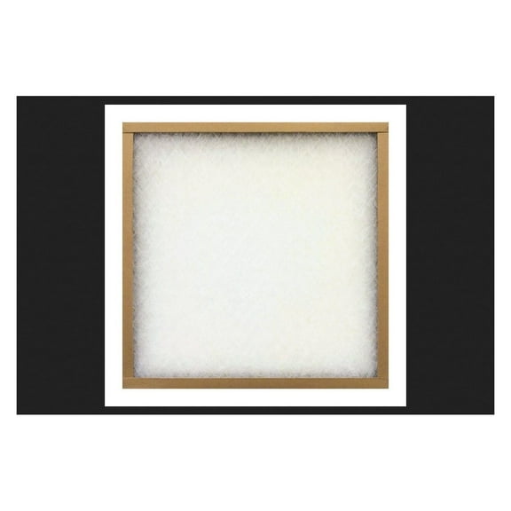 AAF 30 in. H x 20 in. W x 1 in. D Fiberglass 4 MERV Air Filter