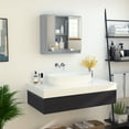 Bathroom Medicine Wall Mounted Mirror Gray