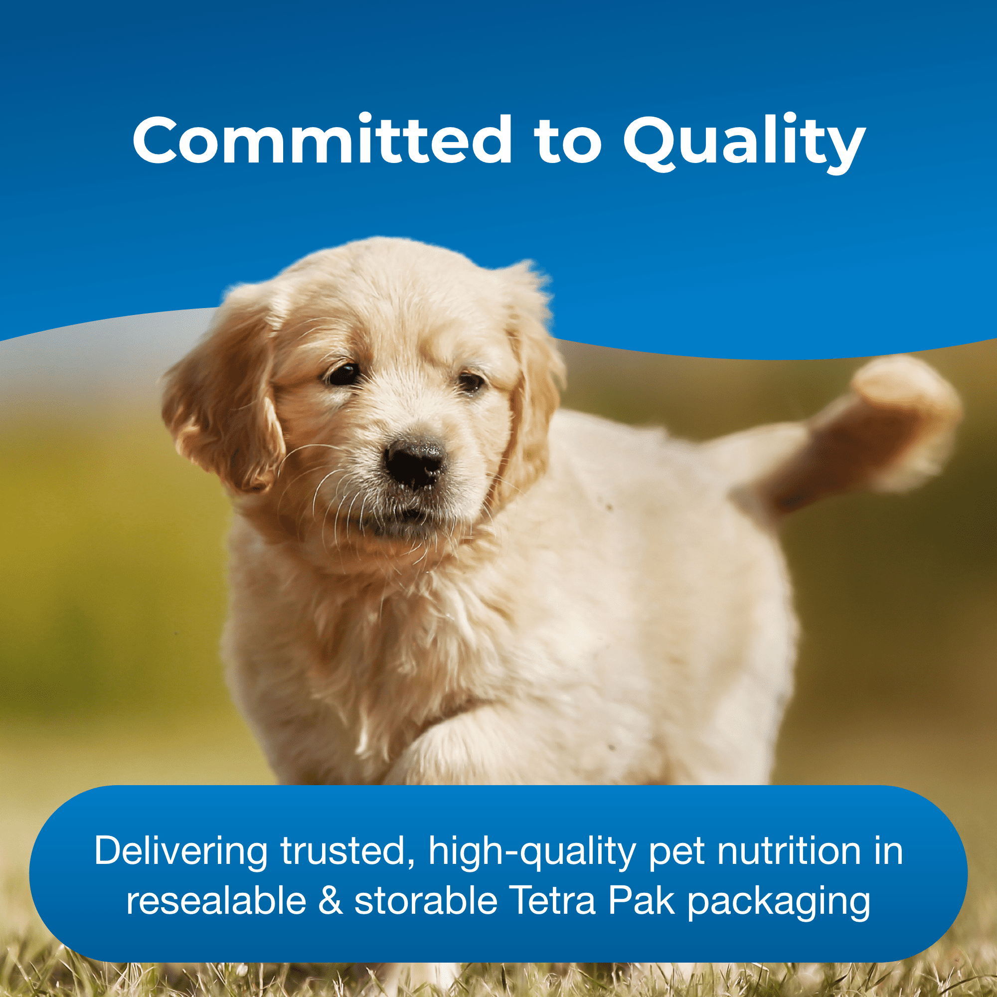 PetAg Esbilac Puppy Milk Replacer Liquid - 16 oz