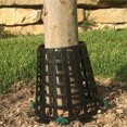 thumbnail image 3 of Plant Knight Tree Trunk Guard Protector for Garden Protection, 6 Pack (Orange), 3 of 9