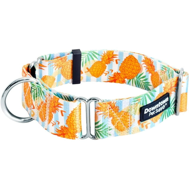 GFDYREE - Martingale Collar for Dogs - Dog Training Collar - Big, Wide & Thick Dog Collar - Escape-Proof, Weatherproof, Durable and Comfortable - Pineapple - Small Dog Collar