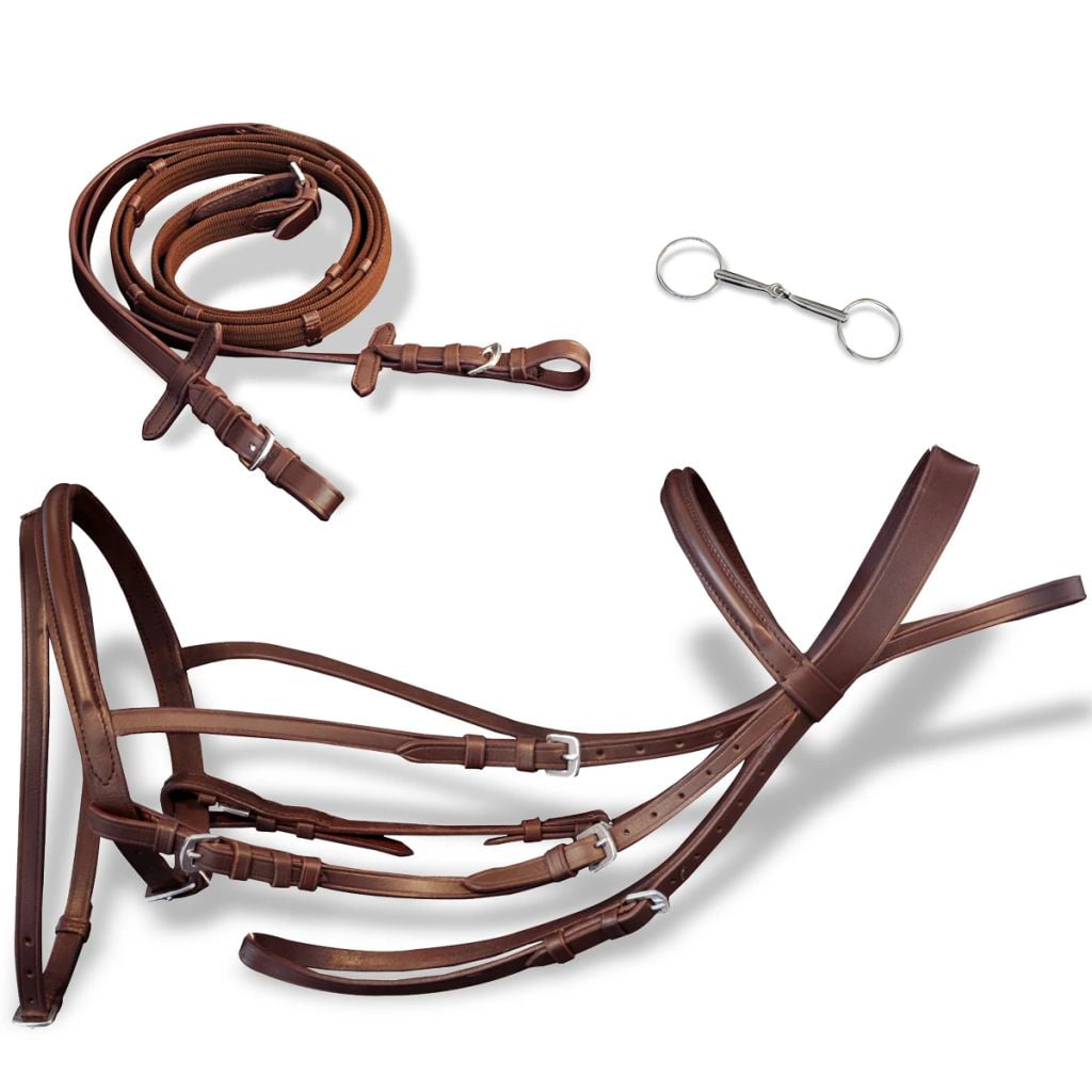 Leather Flash Bridle with Reins and Bit Brown Cob