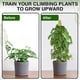 thumbnail image 4 of Poste de musgo, poste de musgo real para estacas de plantas flexibles, palo de musgo multifuncional, 4 of 8