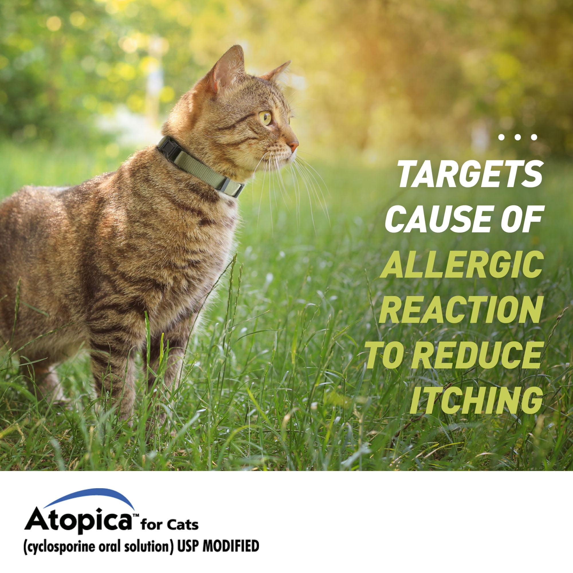 Atopica Cat Atopica for Cats | Allergic Dermatitis Treatment | Cat Itch Relief | Oral Solution | 17 ml