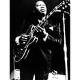 thumbnail image 2 of B.B. King And Lucille History (18 x 24), 2 of 2