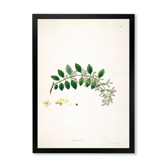 Designart 'Ancient Plant Life XVIII' Farmhouse Framed Art Print