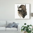 thumbnail image 3 of Trademark Fine Art 'Western Animal Study IV' Canvas Art by Grace Popp, 3 of 4