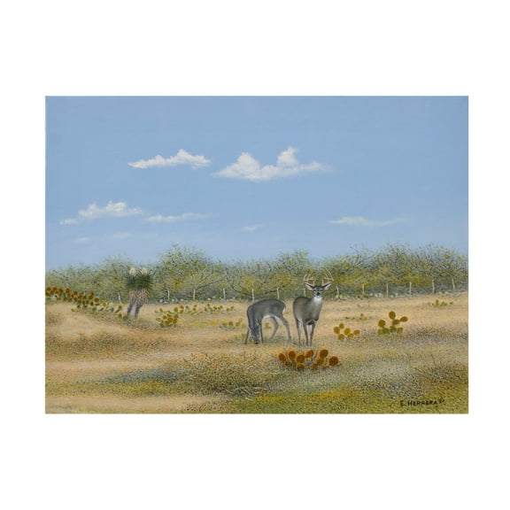 Canvas Wall Art - Eleazar Herrera 'The Property Line' Wall Art for Living Room, Bedroom, or Office Décor by Trademark Fine Art - 19 x 14 Inches