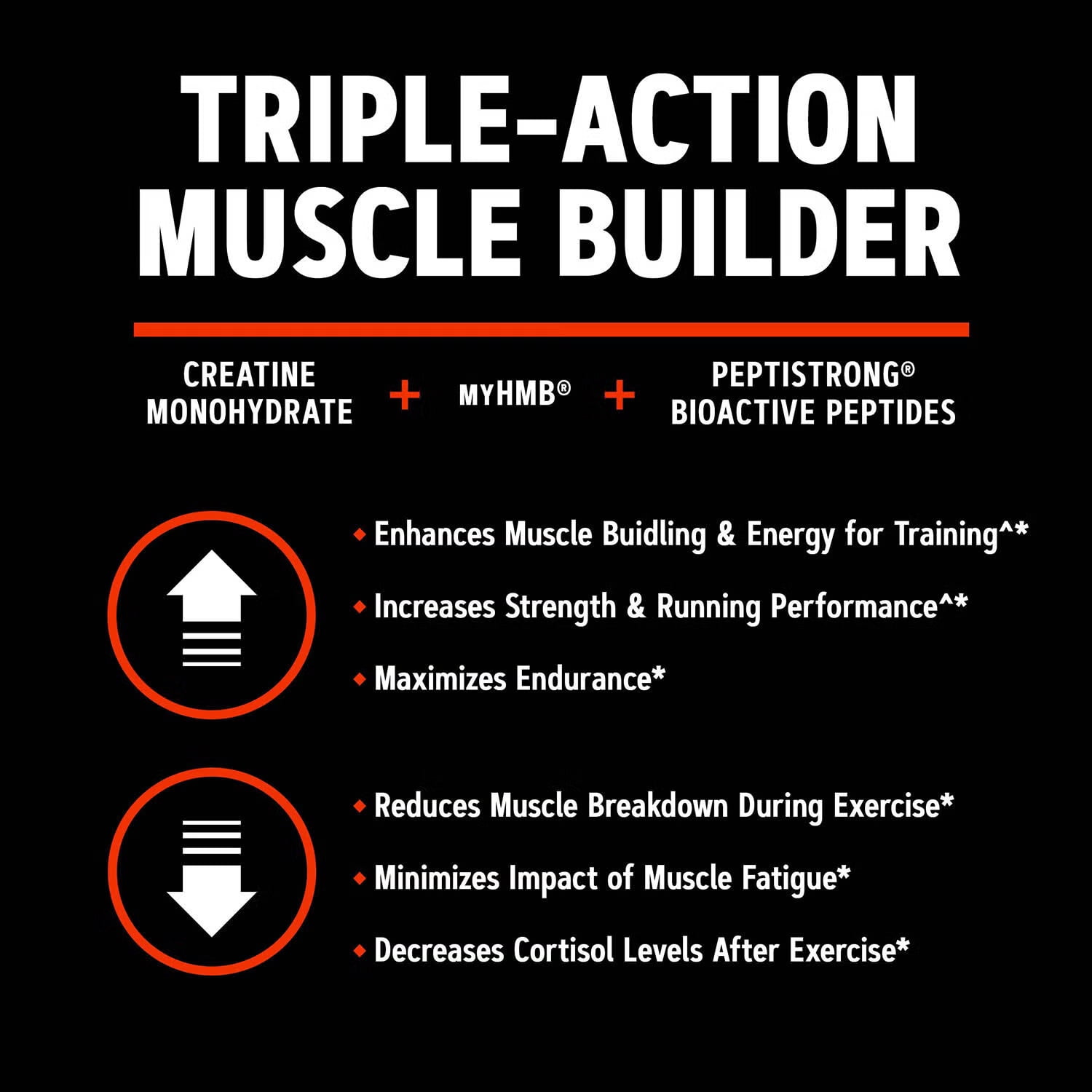 GNC AMP CREABOLIC, Triple Actoin Muscle Builder With 5G Micronized Creatine Monohydrate, 3G of myHMB and 2.4G Peptistrong, Lemonade, 30 servings