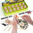 Dino Egg Dig Kit12 Dinosaur Eggs Dino Egg Excavation Kit for Dinosaur