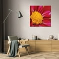 thumbnail image 3 of Dana Styber 15x15 Gallery Wrapped Canvas Wall Art Titled - Starburst Square II, 3 of 4