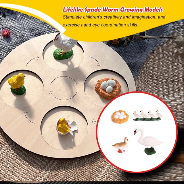 1 Set Modèle de Ver de Pelle en Plastique Premium Figurines d'Insectes Significatives Modèles Éducatifs Précoces pour Projet Scolaire Cygne