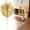 1 Pack Golden Artificial Areca Palm Leaves, variant on Golden Artificial Monstera Leaves with Stem Small Size, Faux Gold Monstera for Home Wedding Party Decor
