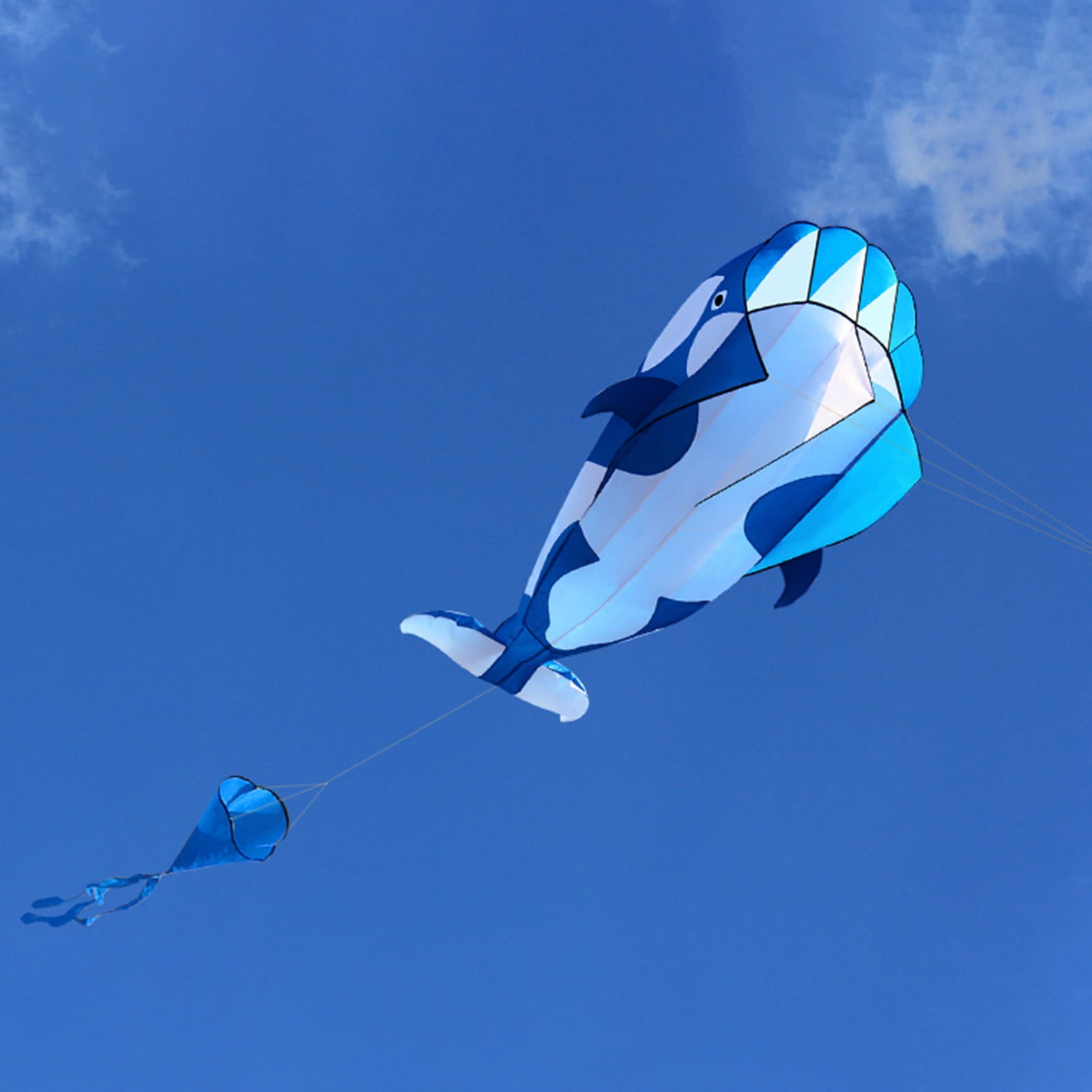 Fridja Kites For Kids Easy To Fly Giant Topus-Kites With Long Tail 157 Inches Long Perfect Toy For Kids And Adults In This Beautiful Season