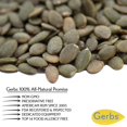 thumbnail image 3 of Sea Salted Pumpkin Seed Kernels by Gerbs, 2LBS - Top 14 Food Allergen Free & NON GMO - Vegan & Kosher - Hulled, 3 of 5