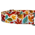 thumbnail image 5 of Country Brook Petz® Brisk Autumn Martingale Dog Collar, Small, 5 of 5