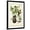 Black Frame, variant on Art.com Baltimore Oriole Art Print by John James Audubon, White Frame Wall Art, 21" x 29"