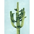 thumbnail image 2 of Jensen, Mia 25x32 Gold Ornate Wood Framed with Double Matting Museum Art Print Titled - Cactus on Blue II, 2 of 4