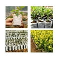 thumbnail image 4 of 400 Pcs Biodegradable Non-Woven Nursery Bags Plant Grow Bags Seedling Pots, 4 of 7