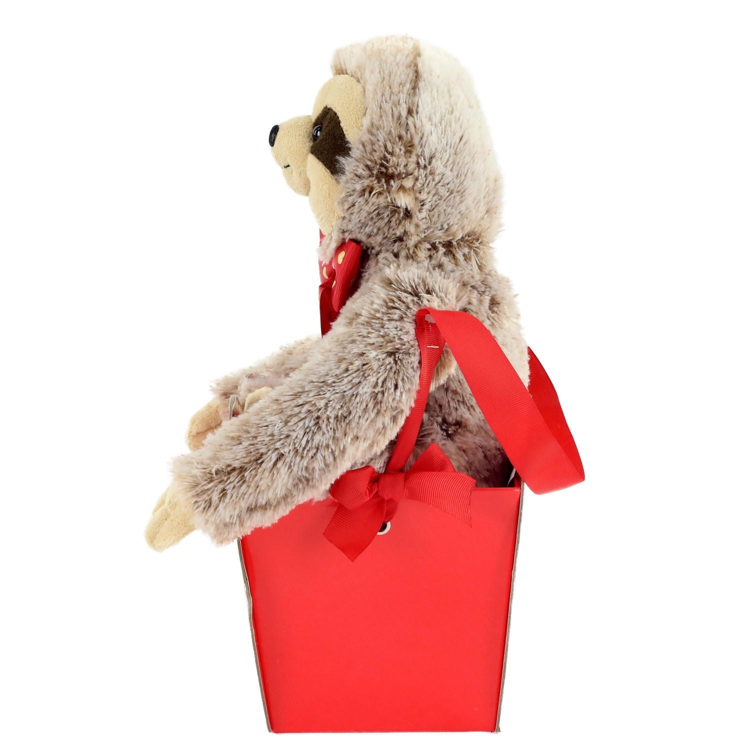 Way to Celebrate Valentine’s Day Sloth Plush Toy In Gift Box