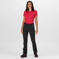 thumbnail image 3 of Regatta - Pantalones Mountain III Caminar para Mujer (Ceniza, Negro), 3 of 3