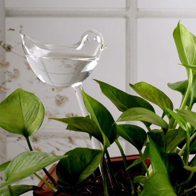 Dispositivo de riego por goteo automático con bombilla transparente para viajes de pájaros y flores (A)