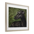 thumbnail image 2 of Stupell Industries Rustic Lodge Black Greyhound Portrait Birch Framed Print Under Glass, 16 x 13, by George Dyachenko, 2 of 8