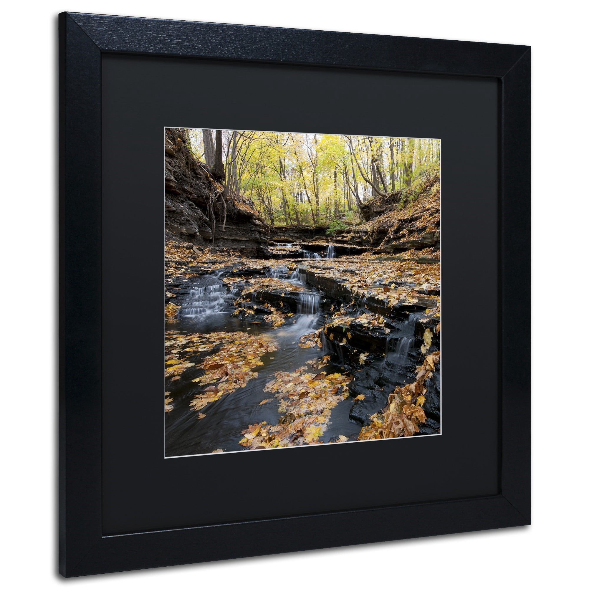 Trademark Fine Art "Lakeview Autumn Falls" Canvas Art by Kurt Shaffer Black Matte, Black Frame