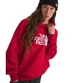 thumbnail image 3 of Sudadera con capucha The North Face Evolution Half Dome Roja XX-Large, 3 of 3