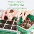 thumbnail image 4 of Kit With Grow Light And Humidity Dome, 5-pack 60 Cell Plant Seedling Tray, Reusable Plastic Germination Tray For Indoor Gardening Seed Grow Starting, 4 of 5
