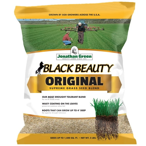 Jonathan Green (10318) Black Beauty Original MVR1 Grass Seed Blend - Cool Season Lawn Seed (5 lb)