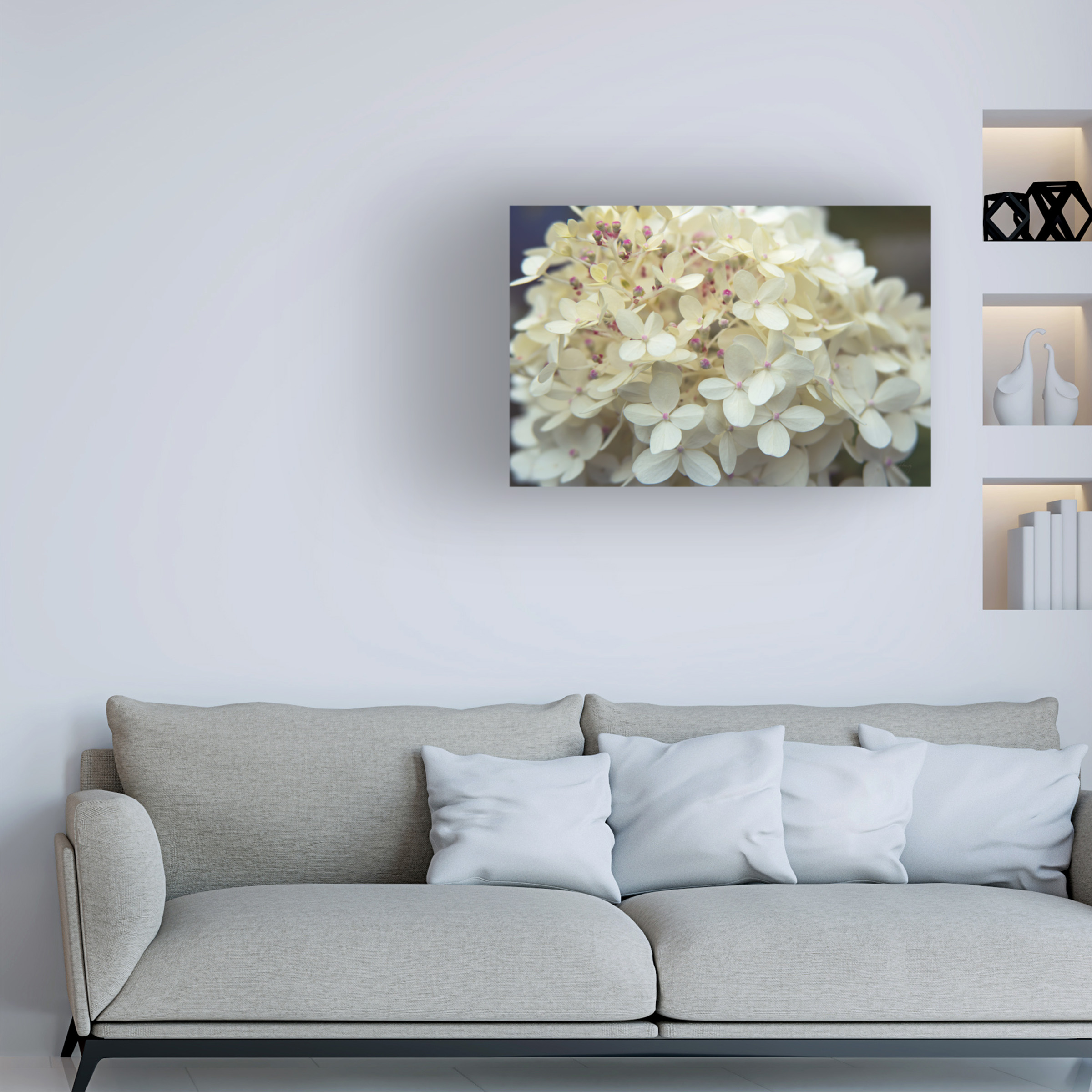 Trademark Fine Art 'Hydrangea Delight I' Canvas Art by Felicity Bradley