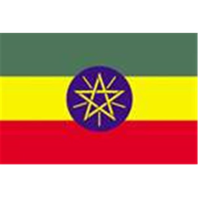Annin Flagmakers 192540 2 ft. X 3 ft. Nyl-Glo Ethiopia Flag