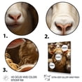thumbnail image 3 of Designart "Sheep Familly euphony" Animals Canvas Print, 3 of 5