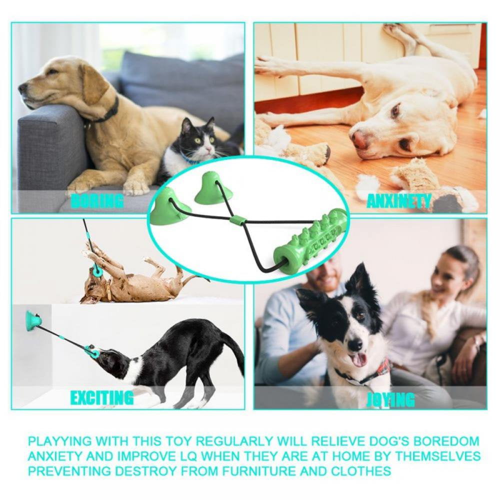 Dog Toys Dog Chew Toys for Aggressive chewers Dog Rope Toys with Suction Cup for Puppy Dogs Dog Training Treats Teething Toys for Boredom Small Dog Puzzle Toy Treat Food Dispensing Ball