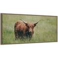 thumbnail image 4 of Kate and Laurel Framed Canvas Wall Art Print Highland Cow I by Laura Evans, 40 x 18 Sylvie Walnut Frame, Rustic Farmhouse, Animal Art for Wall Decor, 4 of 8