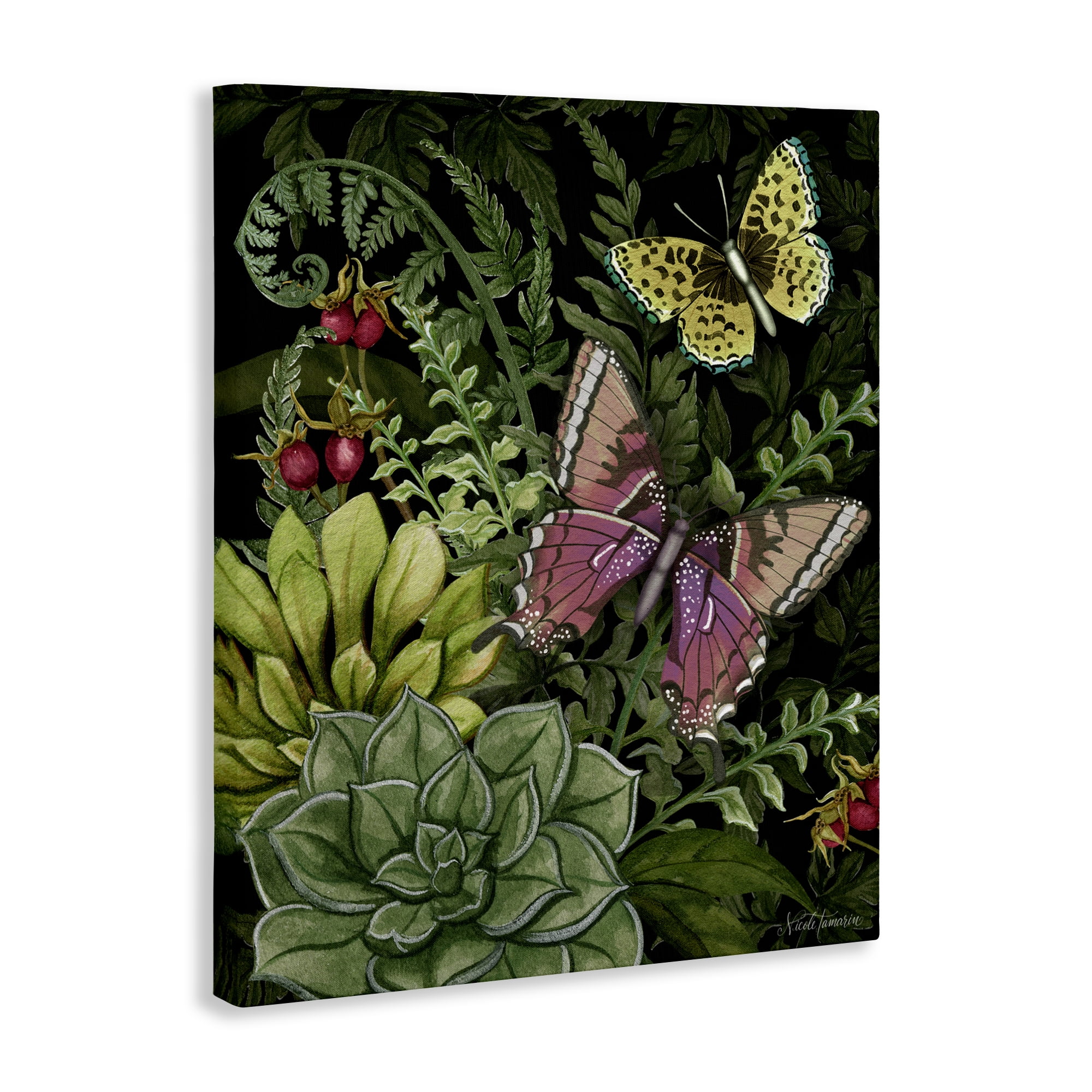 Stupell Industries Dark Succulents Midnight Garden Canvas Wall Art, design by Nicole Tamarin