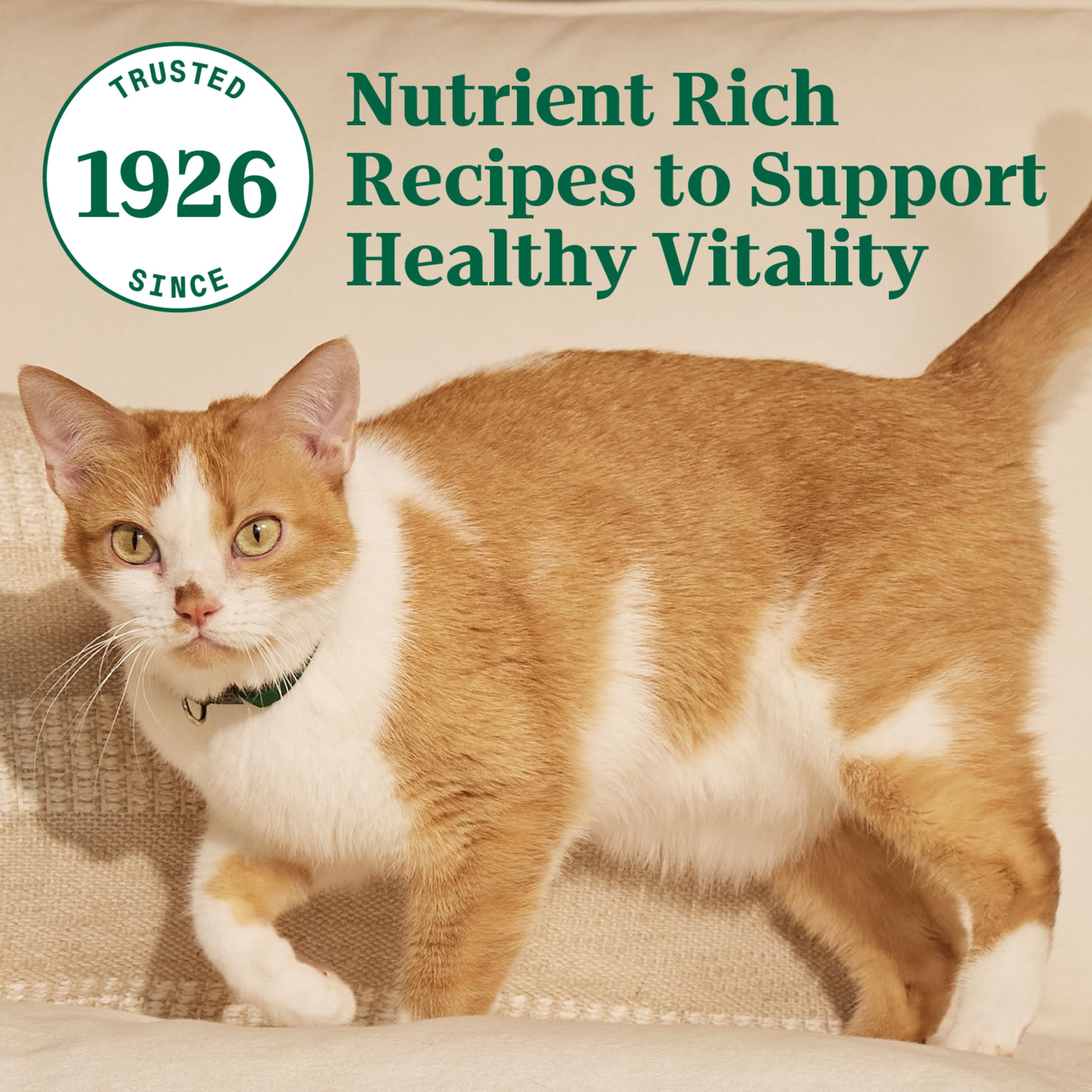 Nutro Wholesome Essentials Chicken & Brown Rice Recipe Senior Dry Cat Food, 14-lb bag
