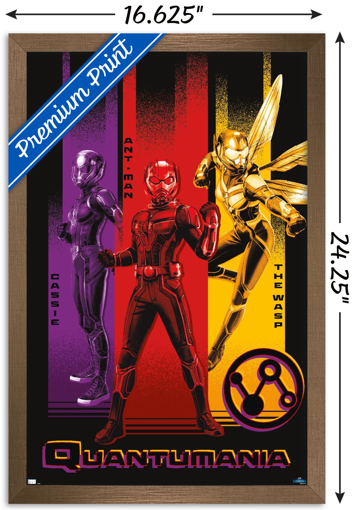 Marvel Ant-Man And The Wasp: Quantumania - Trio Wall Poster, 14.725" x 22.375" Framed