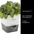 thumbnail image 4 of Cole & Mason Mason Burwell Self-Watering Herb Planter, Indoor Garden Small Planters, 4 of 7